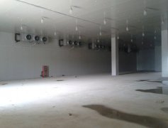 山東濟南圣泉集團大型冷庫工程